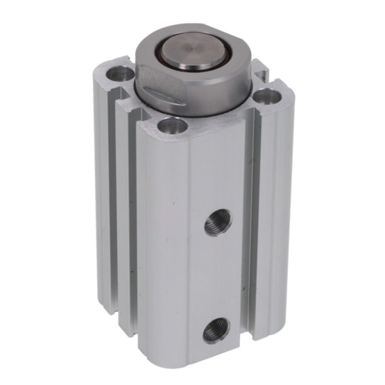 Aventics CCI-DA-050-25-ST-TR-INCH Pneumatic Linear Actuator