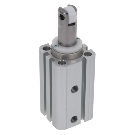 Aventics CCI-DS-032-25-ST-RO Pneumatic Linear Actuator