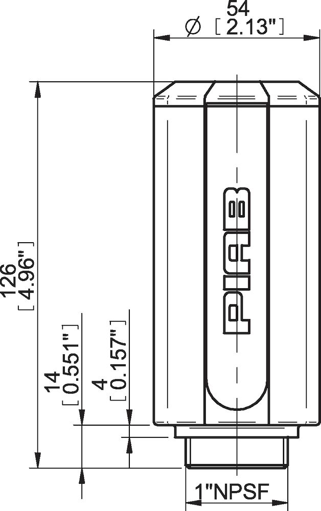 Piab Silencer 1 NPSF
