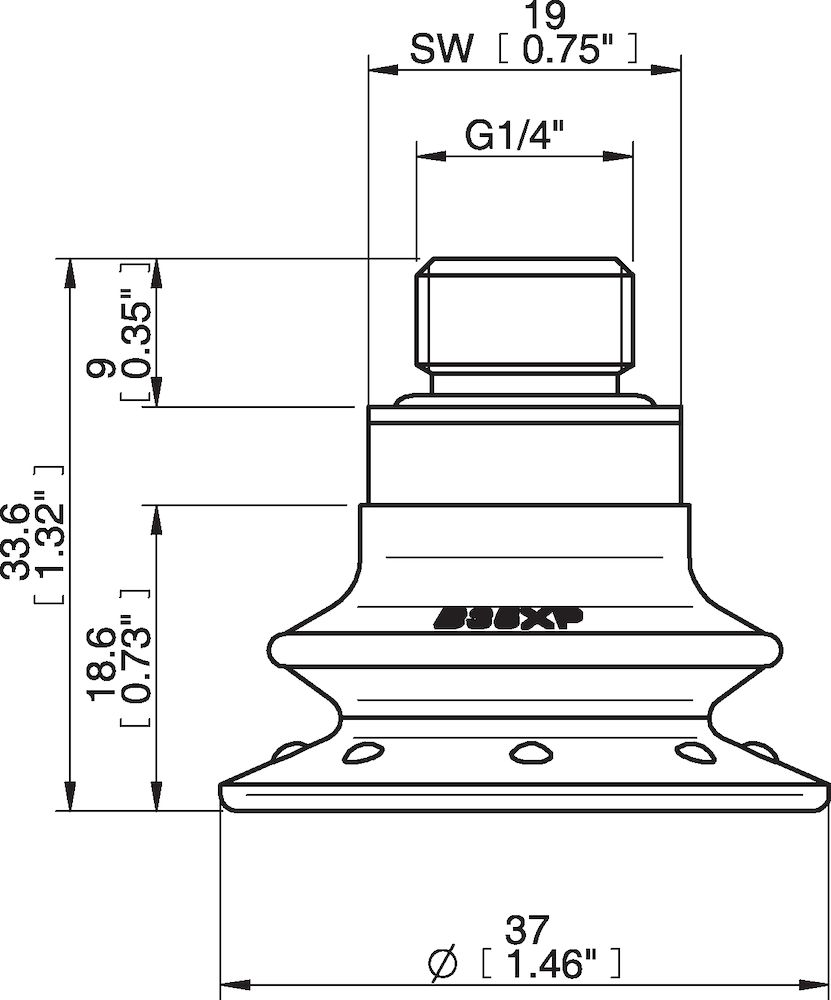 Piab Suction cup B35XP Polyurethane 60, G1/4  male with mesh filter